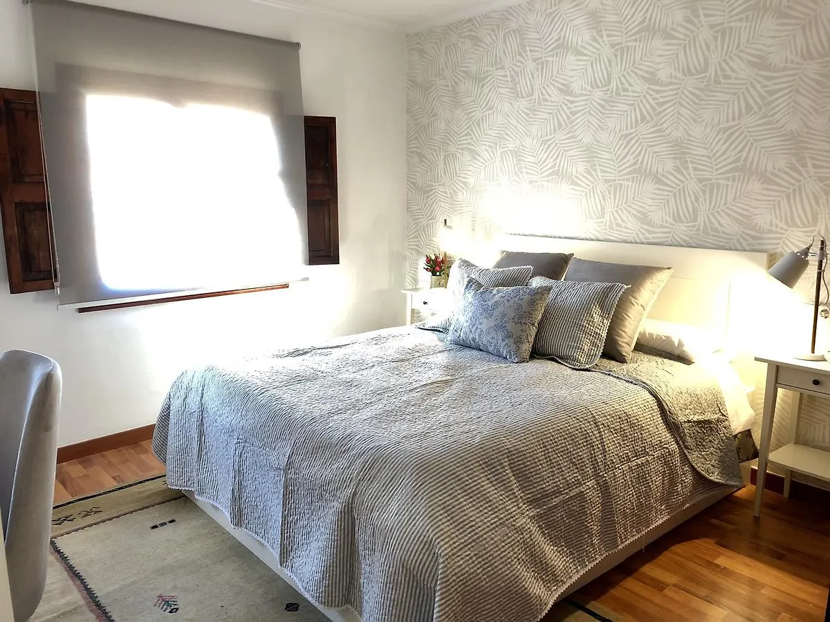 パルマ・デ・マリョルカMallorca Housing: Old Centre - Turismo De Interiorアパートメント アパート パルマ・デ・マリョルカ